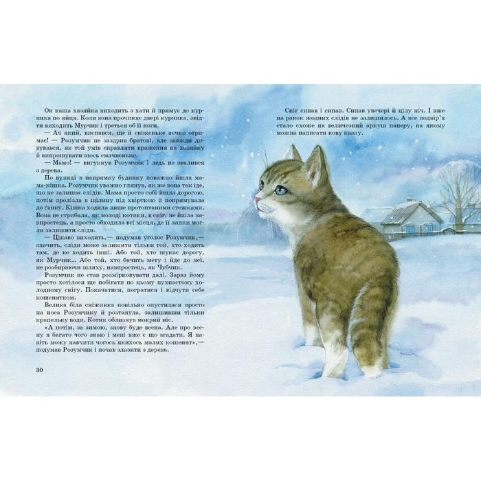 «Акварельні історії. Коти. Такі, як ти» 32 сторінки, тверда обкладинка, 26,5х20,5 см, ТМ Ранок