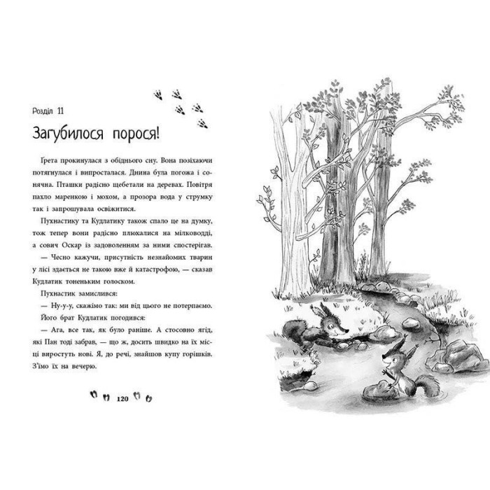 «Несерійний. Ліс незвичайних тварин» на 160 сторінок з твердою обкладинкою, 22х15,5 см, ТМ Ранок