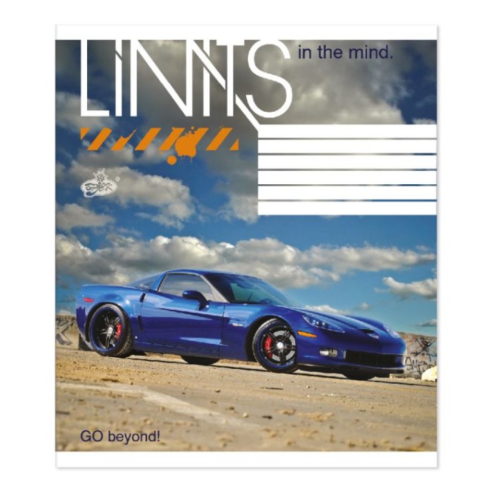 Зошит на 48 аркушів у клітинку «Динаміка сталі» №2594, ТМ Brisk