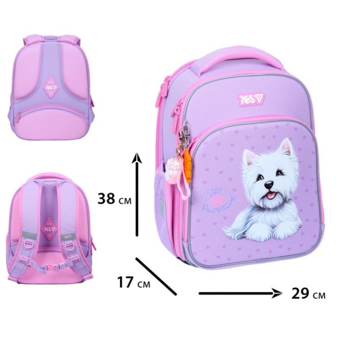Рюкзак каркасний «Stay Pawesome» 38х17х29 см S-78M, ТМ Yes