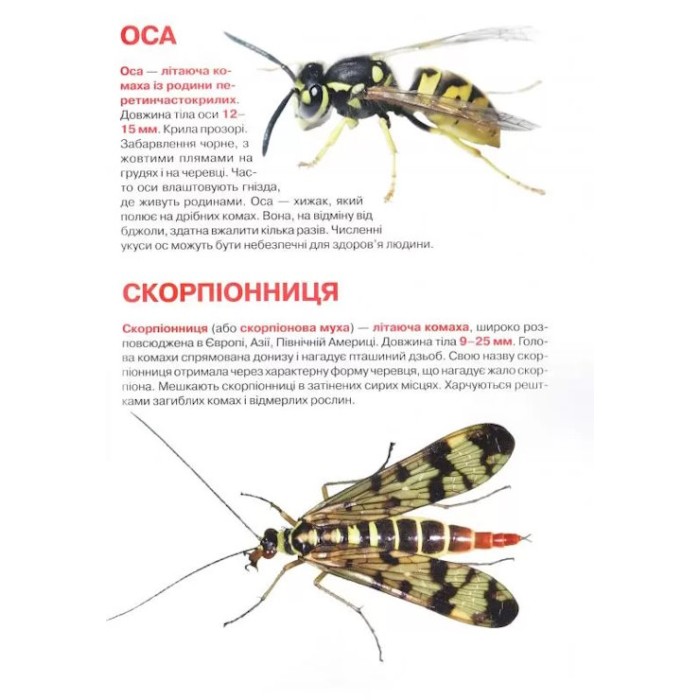 «Велика книжка. Комахи» на 16 сторінок з м`якою обкладинкою, 24х33 см, ТМ Кристал Бук