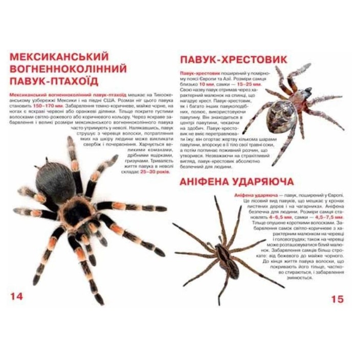 «Велика книжка. Павуки» на 16 сторінок з м'якою обкладинкою 24х33 см, ТМ Кристал Бук