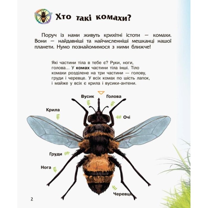 «Енциклопедія дошкільника. Комахи» на 32 сторінки з м`якою обкладинкою 24х20 см, ТМ Ранок
