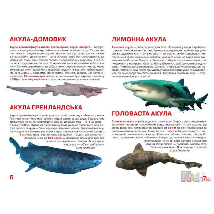 «Акули» на 16 сторінок м'якою обкладинкою 24х33 см, ТМ Кристал Бук