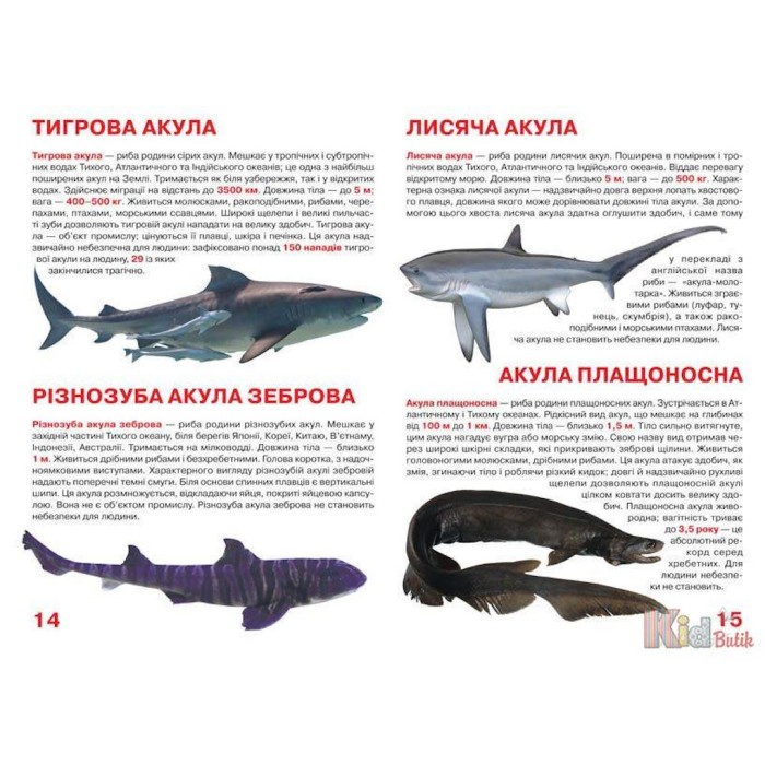 «Акули» на 16 сторінок м'якою обкладинкою 24х33 см, ТМ Кристал Бук
