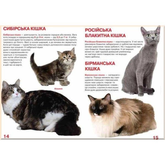 «Велика книжка.Кішки» на 16 сторінок з м'якою обкладинкою 24х33 см, ТМ Кристал Бук