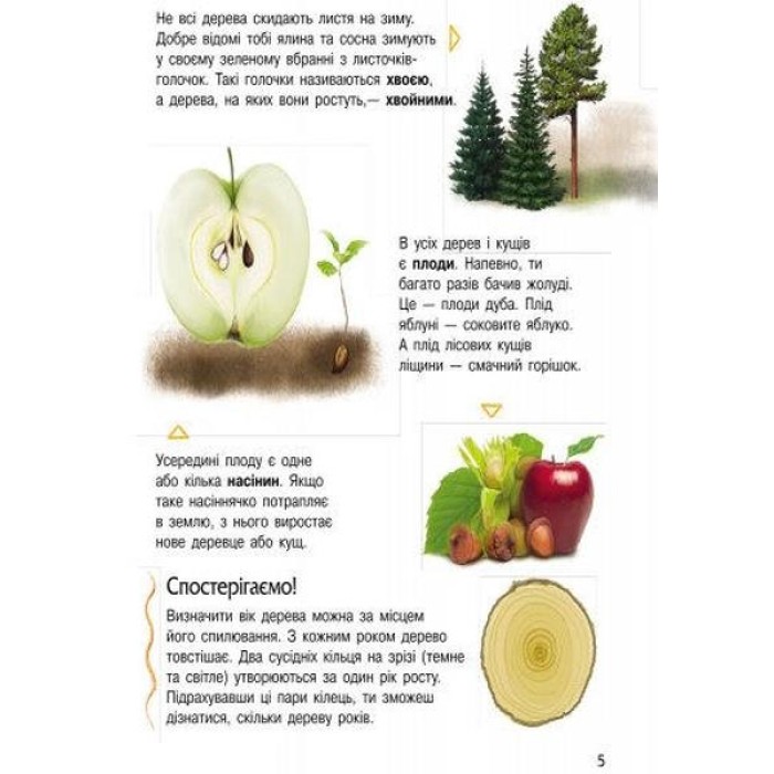 «Енциклопедія дошкільника. Природа» на 32 сторінки з м'якою обкладинкою 20х24 см, ТМ Ранок