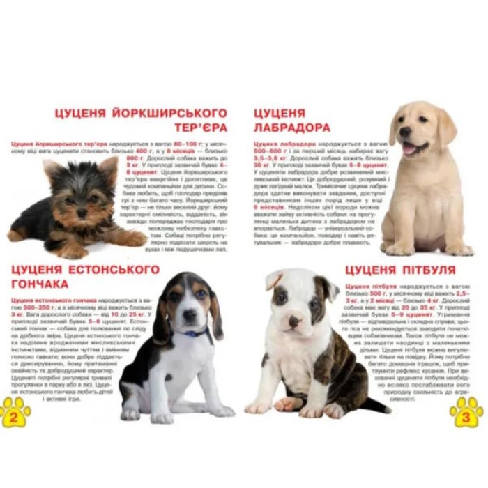 «Велика книга. Цуценя» на 16 сторінок з м'якою обкладинкою 24х33 см, ТМ Кристал Бук