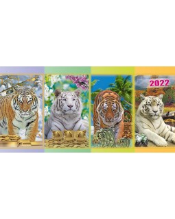 Календарь - палатка, перекидной «Тигры деньги» 2022 год