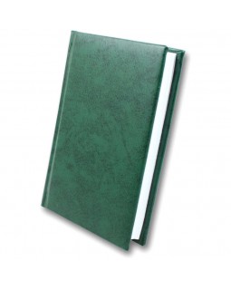 Дневник недатированный 176 л., 95х135 мм, «Infolk - Miradur», зеленый