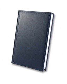 Дневник недатированный «Infolk – Miradur», 168 листов, А5, синий, ТМ Brisk