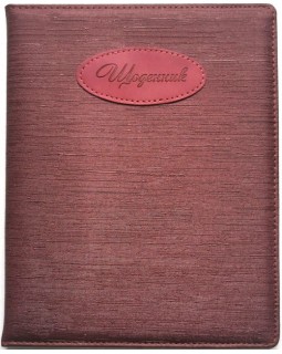 Дневник школьный, 167х211 мм, обложка кожзам, 48 листов