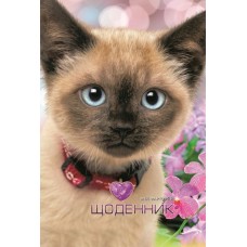 Щоденник шкільний «Котик» 16,5х24 см на 40 аркушів з матовою ламінацією, ТМ Мандарин