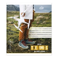 Зошит на 60 аркушів у лінію «Мікс хлопчики», №2234, ТМ Brisk