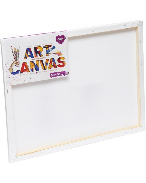 Полотно для рисования Art Canvas, 50х40 см, ТМ Данок Тойс