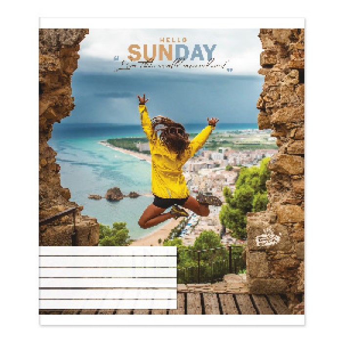 Зошит на 24 аркуші у лінію «Нейтральний мікс 2», №2254, ТМ Brisk