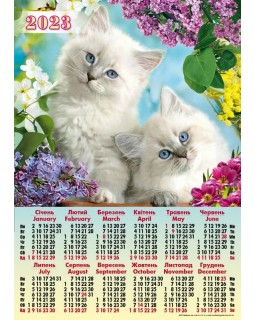 Календарь – плакат А2 «Пушистые котики» 2023 год