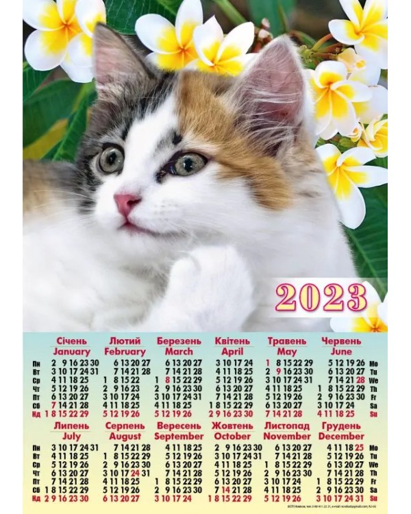 Календарь – плакат А2 «Котик экзотика» 2023 год