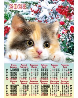 Календарь – плакат А2 «Котик рябина» 2023 год