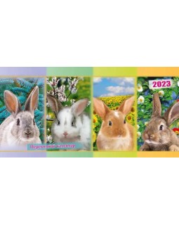 Календарь палатка опрокидывающая «Кролики» 2023 год