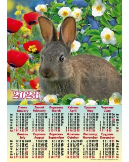 Календарь – плакат А2 «Кролик маки» 2023год