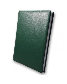 Дневник датированный А5, 176 листов, 142х203 мм, «Infolk-Miradur», зеленый, ТМ Brisk