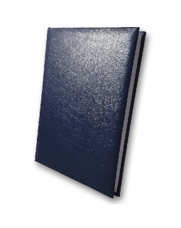 Дневник датированный А5, 176 листов, 142х203 мм, «Infolk-Miradur», синий, ТМ Brisk