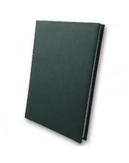 Дневник датировок «Infolk», А5, 176 листов, 142х203 мм, зеленый, ТМ Brisk