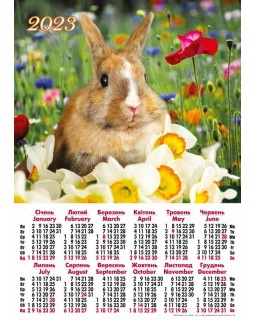 Календарь А2 «Кролик в цветах» 2023 год