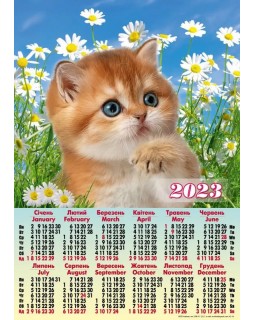 Календарь – плакат А2 «Котик в ромашках» 2023 год