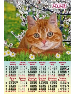 Календарь - плакат А2 «Рыжий котик» 2023 год