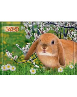 Календарь квартальный 3 в 1 «Кролик в цветах» 2023 год