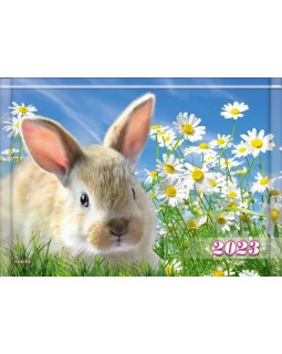 Календарь квартальный на 3 пружины «Кролик в ромашках» 2023 год