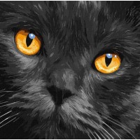 Набір для розпису по номерах «Бурштинові очі», 40х40 см