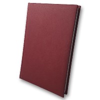 Щоденник недатований «Infolk» А5 на 168 аркушів, бордовий, ТМ Brisk
