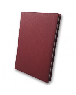 Дневник недатированный «Infolk», 168 листов, А5, бордовый, ТМ Brisk