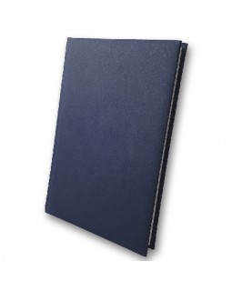 Дневник недатированный «Infolk», 168 листов, А5, синий, ТМ Brisk