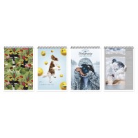 Блокнот А5 на 80 аркушів у клітинку на спіраль зверху з картонною обкладинкою, №1572, ТМ Brisk