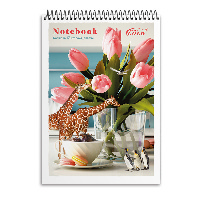 Блокнот А6 на 48 аркушів у клітинку на спіралі зверху з картонною обкладинкою, №6772, ТМ Brisk