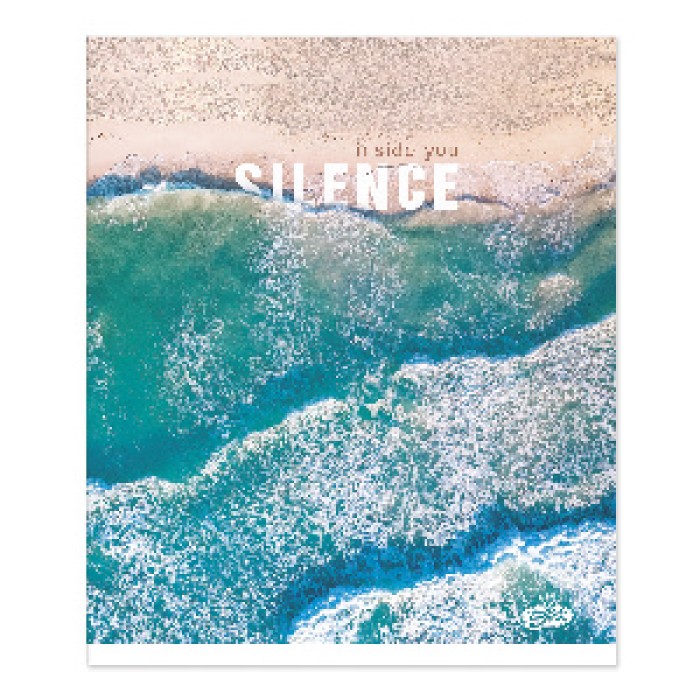 Зошит, 48 аркушів, лінія, «Нейтральний мікс 1», №2269, ТМ Brisk