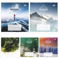 Зошит на 36 аркушів у лінію, «Природа», №2337, ТМ Brisk