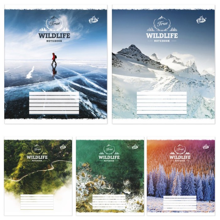 Зошит на 36 аркушів у лінію, «Природа», №2337, ТМ Brisk