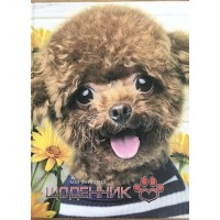 Щоденник шкільний 16,5х21 см на 40 аркушів з картонною обкладинкою, ТМ Мандарин