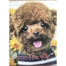 Щоденник шкільний 16,5х21 см на 40 аркушів з картонною обкладинкою, ТМ Мандарин