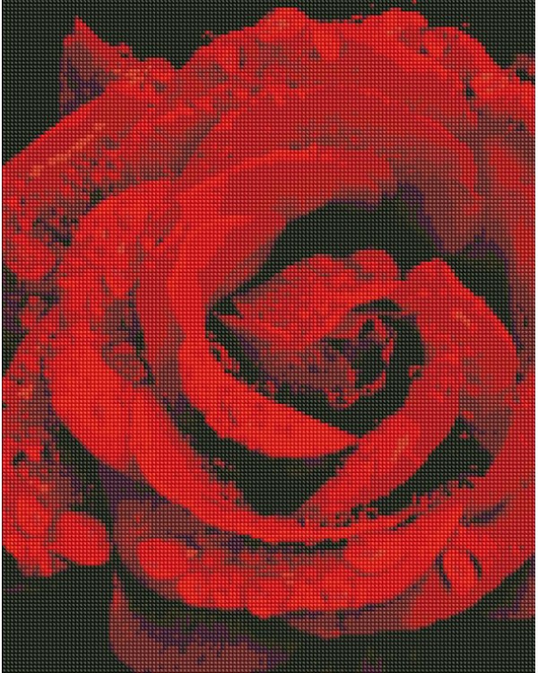 Набір з алмазною мозаїкою «Троянда в діамантах», 40х50 см, ТМ Ідейка