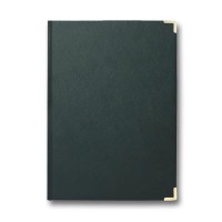 Папка вітальна «Infolk» A4 зелена, TM Brisk