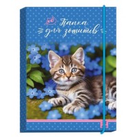 Папка для зошитів «Cat» В5 картонна на гумках, ТМ Рюкзачок