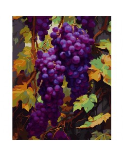 Картина за номерами з алмазною мозаїкою «Гроно винограду» 40х50 см., SANTI