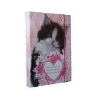 Папка для зошитів «CUTE» В5+ картонна на гумках, TM ZiBi