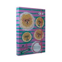 Папка для зошитів «OWL» В5+ картонна на гумках, TM ZiBi